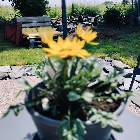 La Roulotte Romantique Des Volcans 木屋 Saint-Saturnin (Cantal)