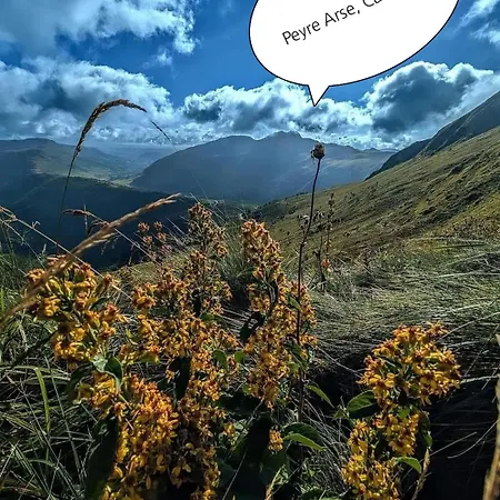 La Roulotte Romantique Des Volcans Saint-Saturnin (Cantal)