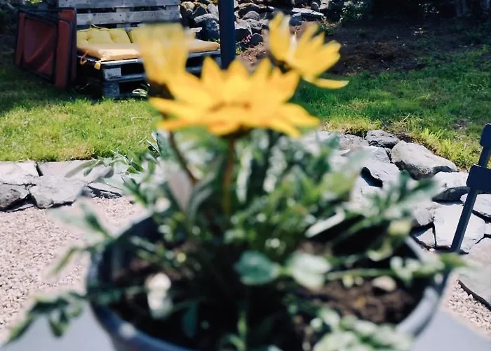 La Roulotte Romantique Des Volcans Chalet Saint-Saturnin (Cantal)