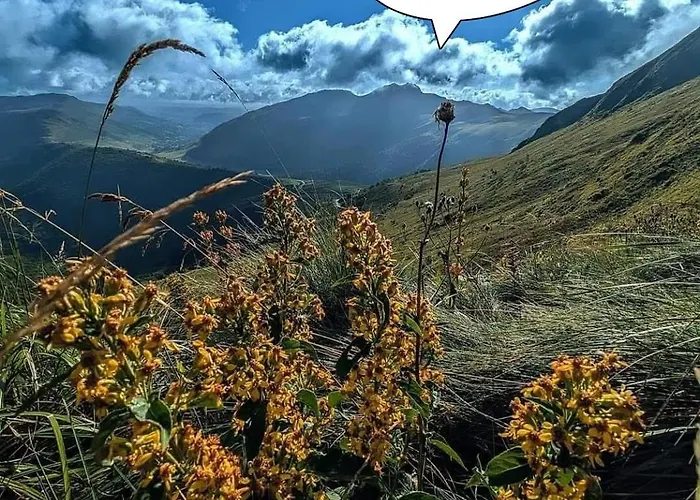 La Roulotte Romantique Des Volcans Saint-Saturnin (Cantal)